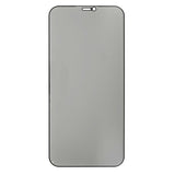 iPhone 12 Pro Max Privacy Schutzglas